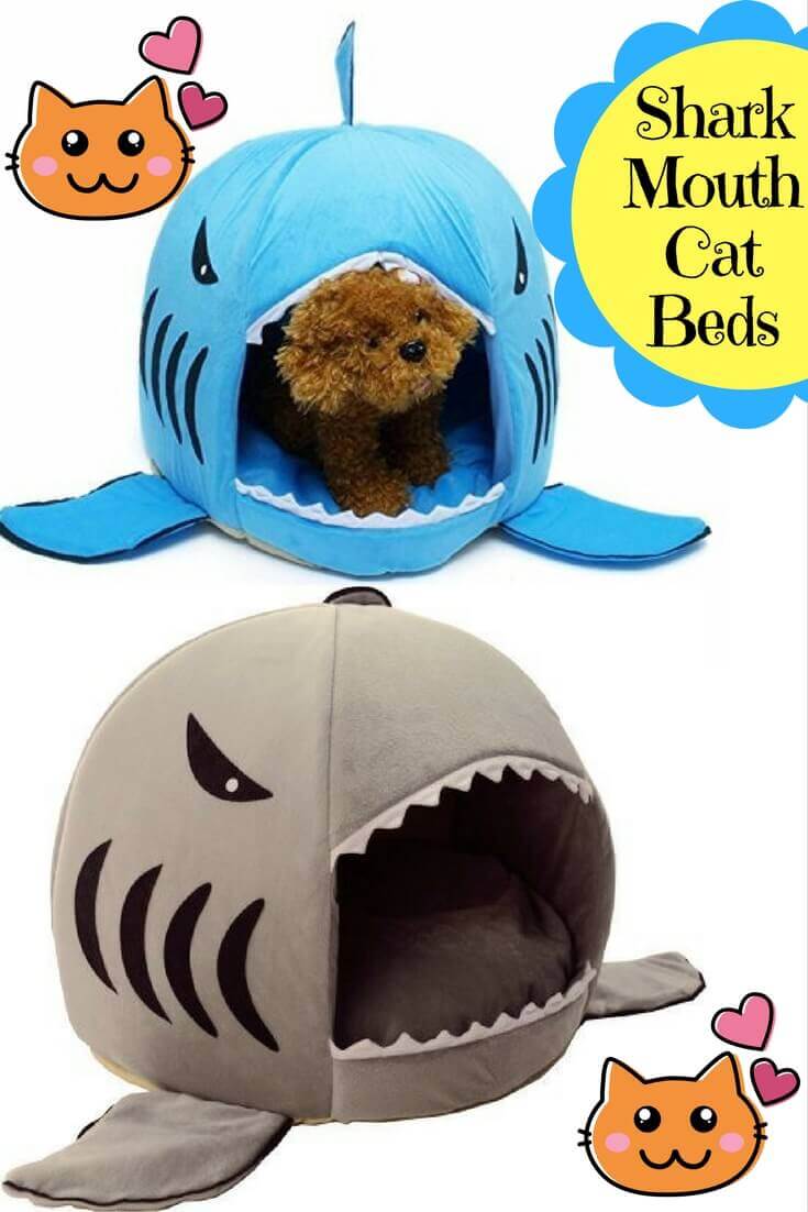 Shark Mouth Cat Bed